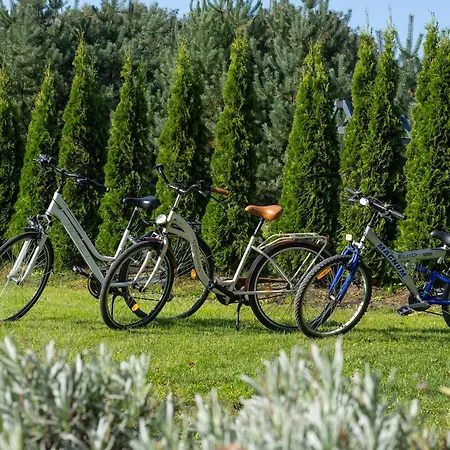 Nicolo Władysławowo