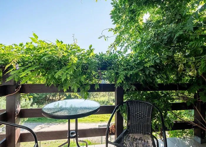 Nicolo Władysławowo