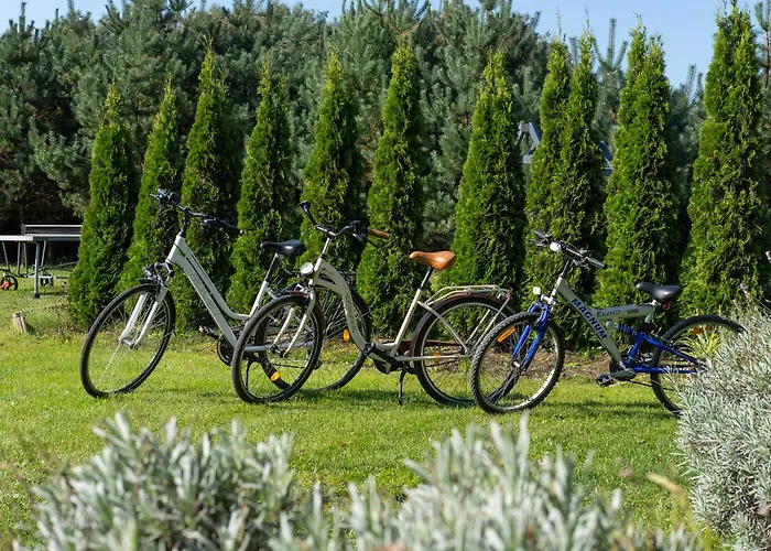 Nicolo Władysławowo